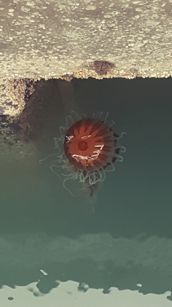 20190610_155755